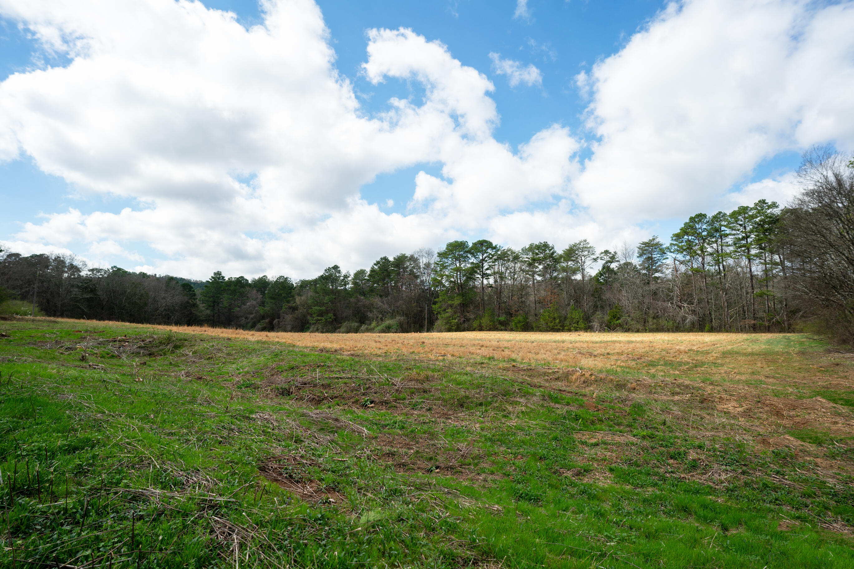 1321 Sand Mountain Road Ocoee, TN 37361 - Photo 28 of 29 _DSC8921-Edit