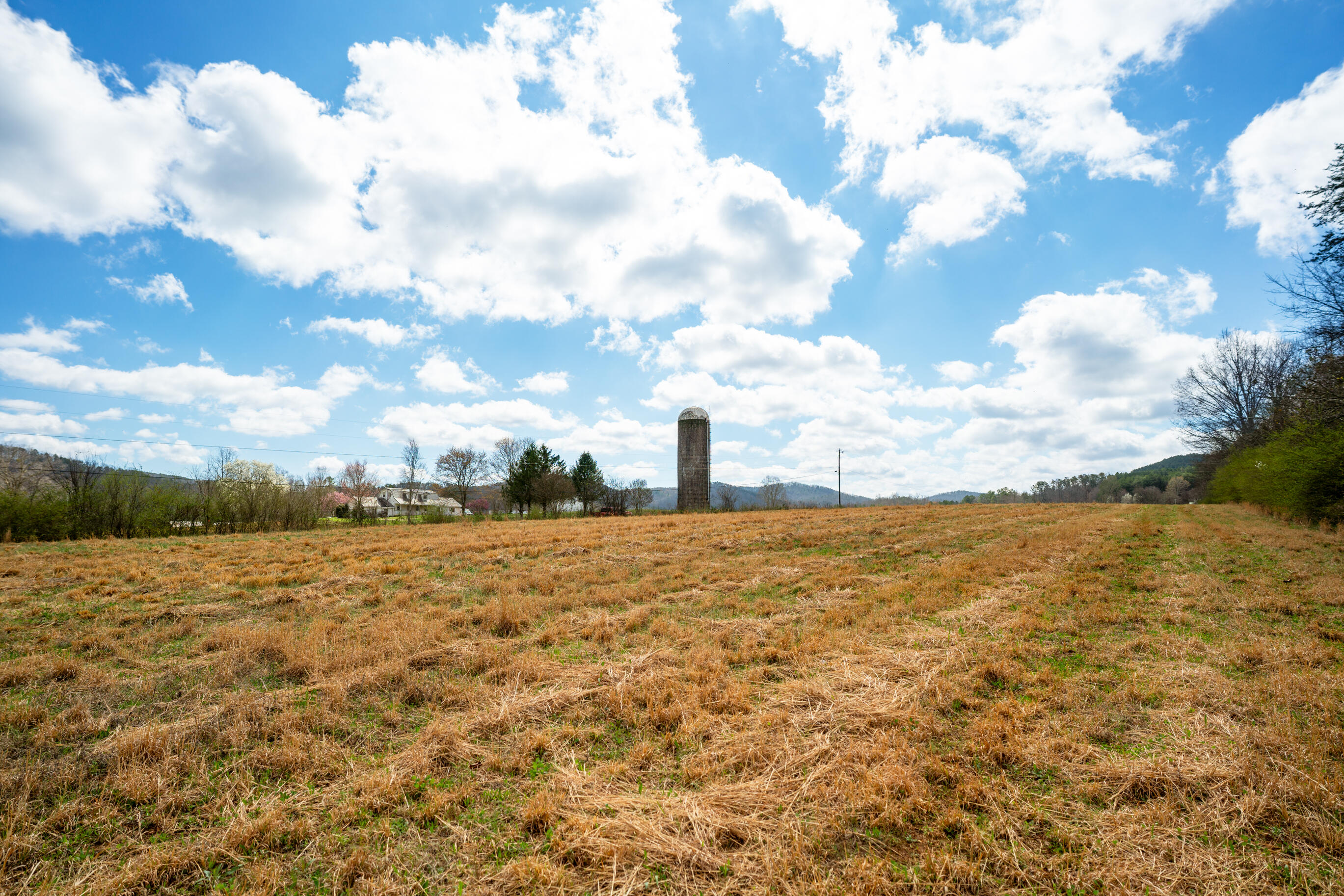 1321 Sand Mountain Road Ocoee, TN 37361 - Photo 29 of 29 _DSC8922-Edit