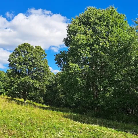 $390,000 | 0 Chicora Road, Karns City, PA 16041