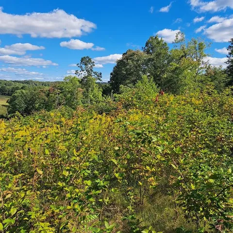 $390,000 | 0 Chicora Road, Karns City, PA 16041