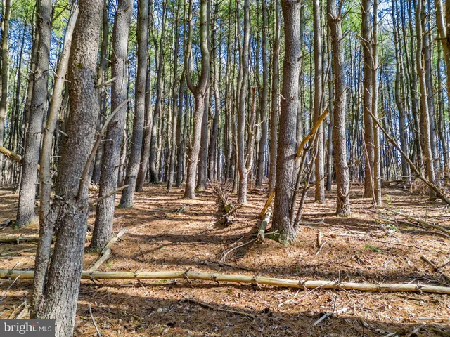 $219,900 | Lot 2 Woods Mill, Stephenson, VA 22656