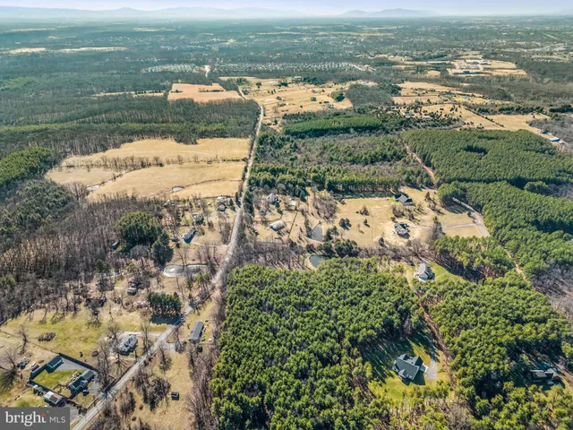 a view of a garden with plants