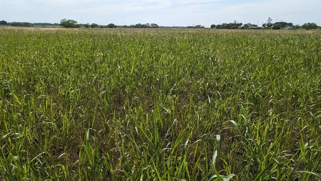 a view of a lake and green valley