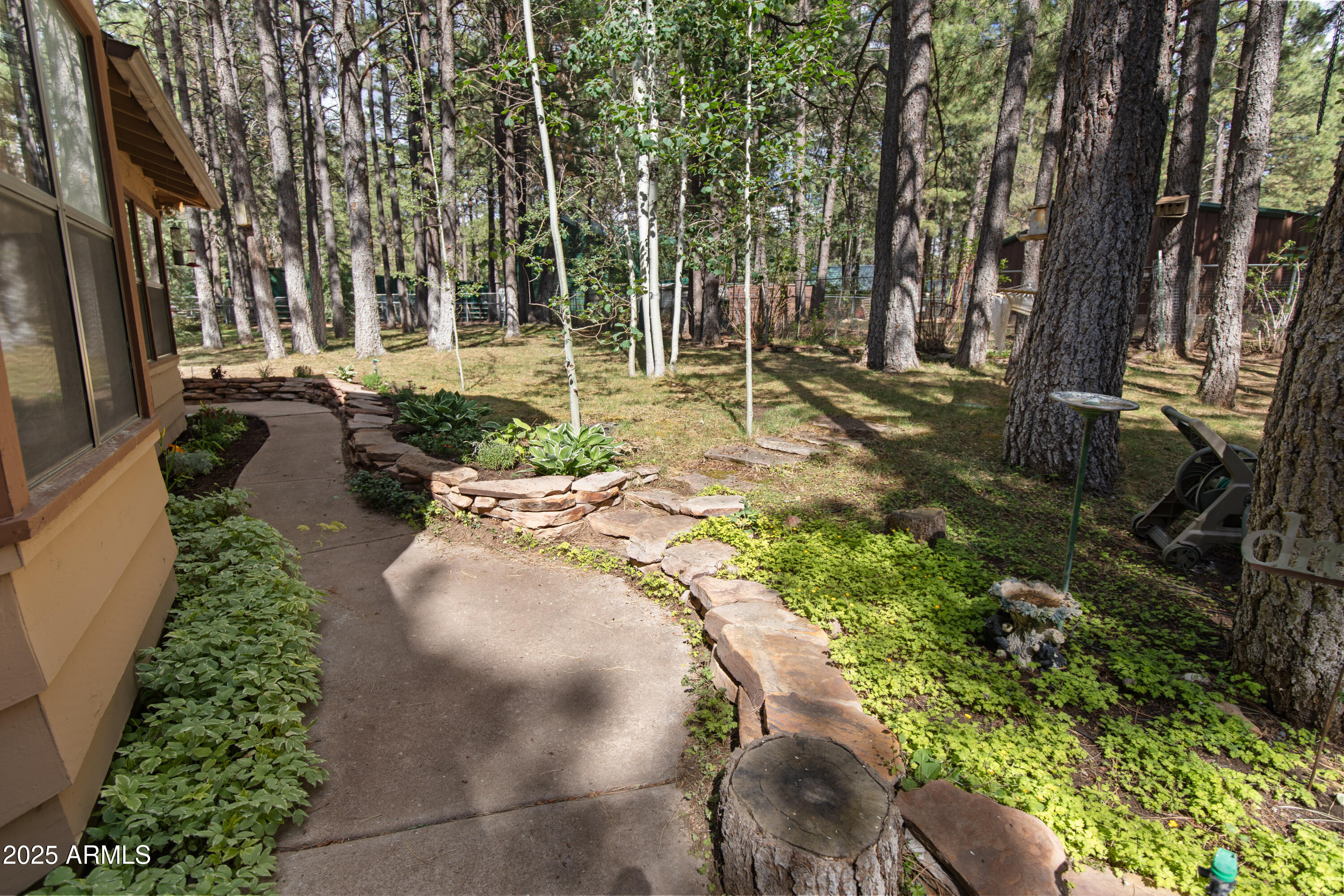 3910 Larson Loop Forest Lakes, AZ 85931 - Photo 10 of 57 a view of a park with large trees