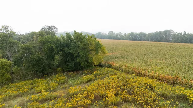 $140,000 | 2 Goat Back Road, Pepin, WI 54759