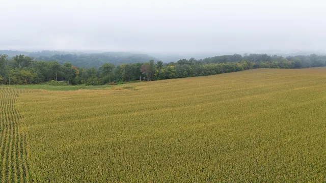 $140,000 | 2 Goat Back Road, Pepin, WI 54759