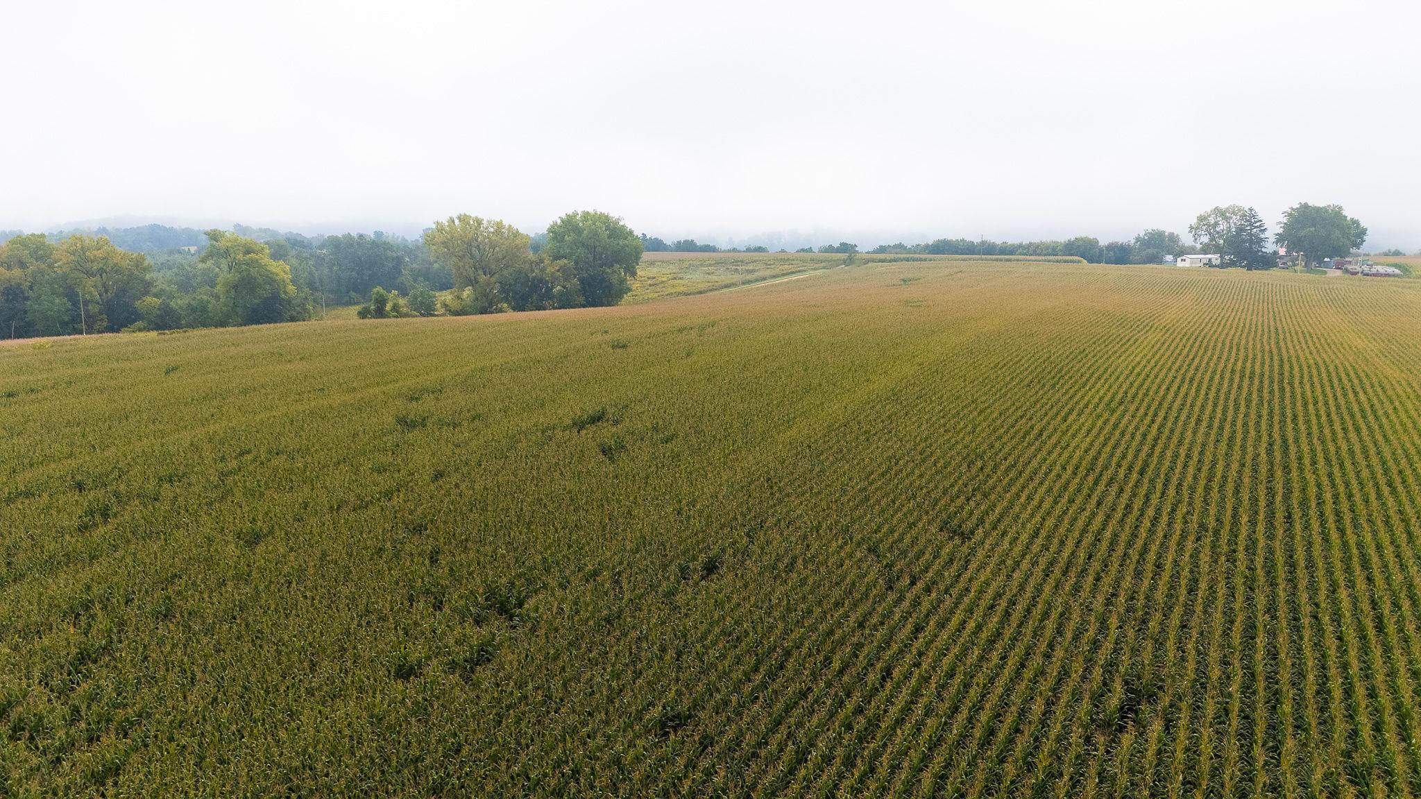 2 Goat Back Road Pepin, WI 54759 - Photo 13 of 23