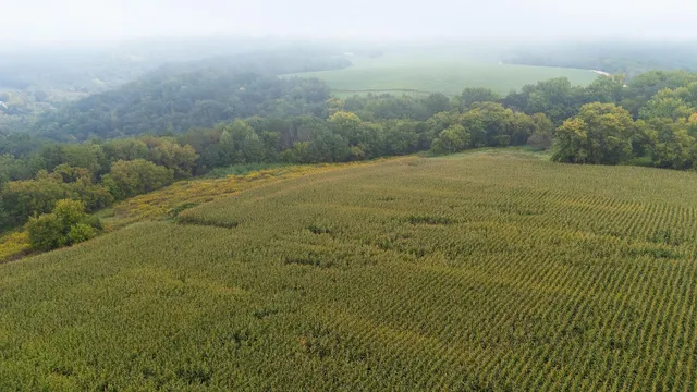 $140,000 | 2 Goat Back Road, Pepin, WI 54759