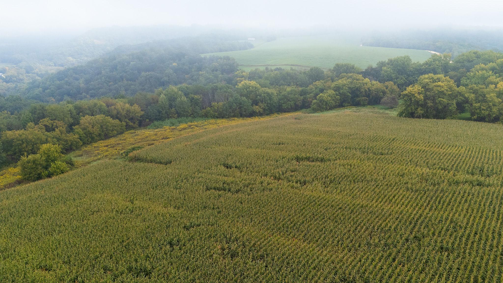 2 Goat Back Road Pepin, WI 54759 - Photo 17 of 23