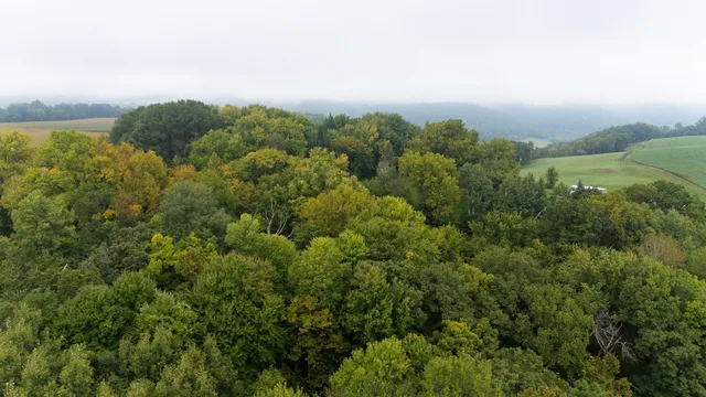 $140,000 | 2 Goat Back Road, Pepin, WI 54759