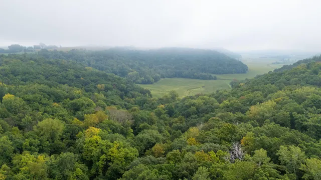 $140,000 | 2 Goat Back Road, Pepin, WI 54759