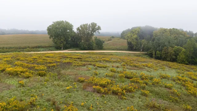 $140,000 | 2 Goat Back Road, Pepin, WI 54759