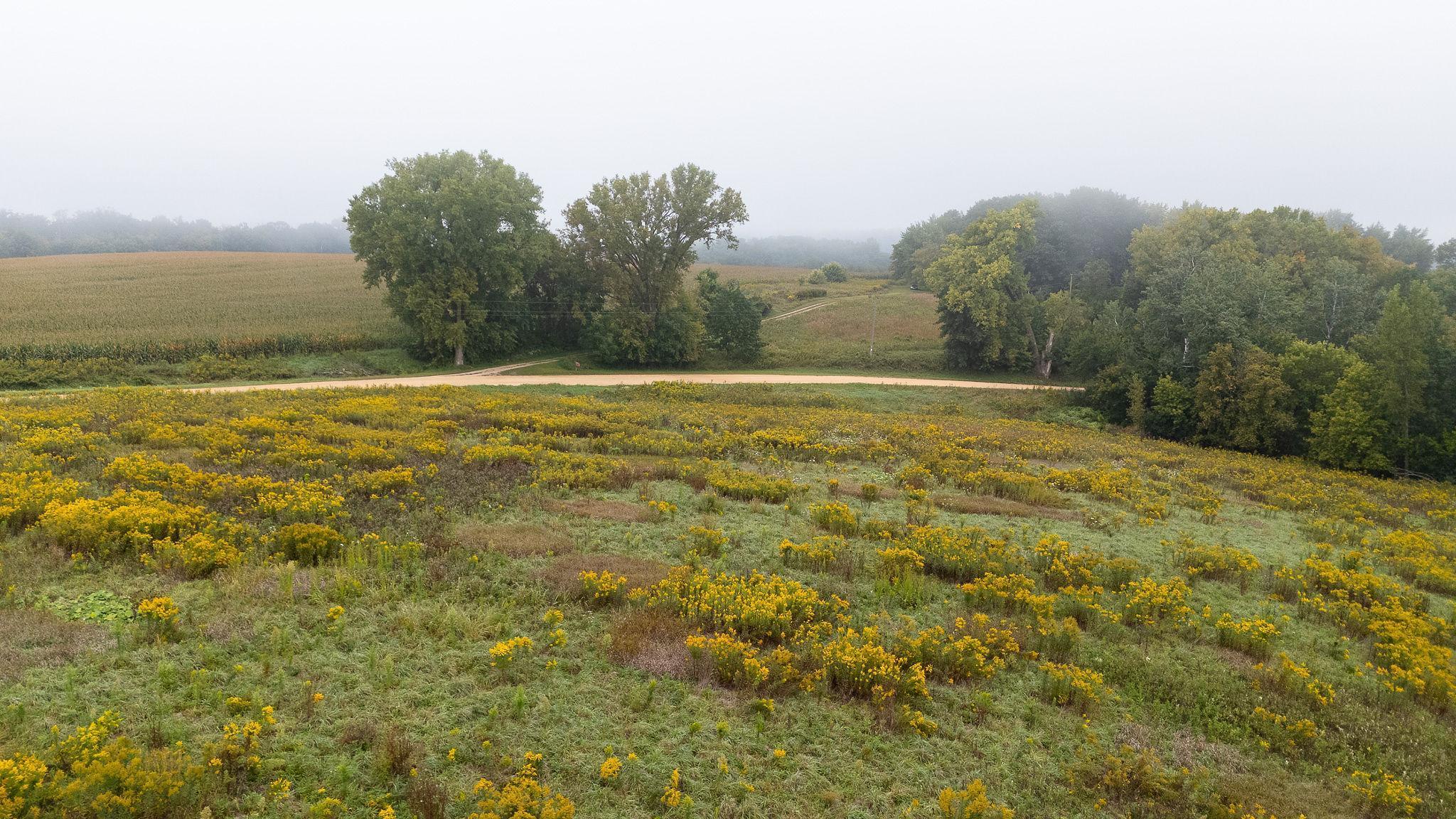 2 Goat Back Road Pepin, WI 54759 - Photo 2 of 23