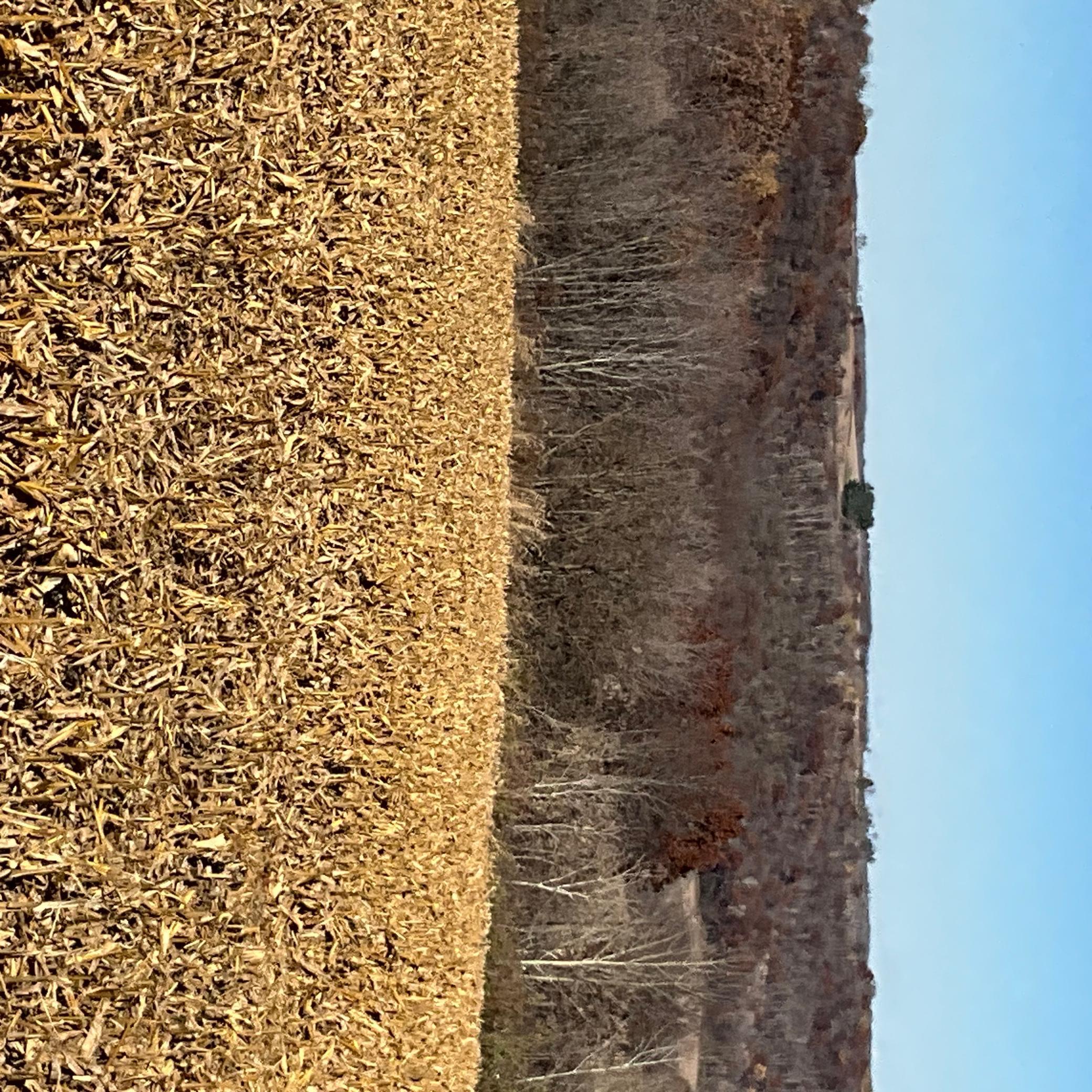 2 Goat Back Road Pepin, WI 54759 - Photo 22 of 23