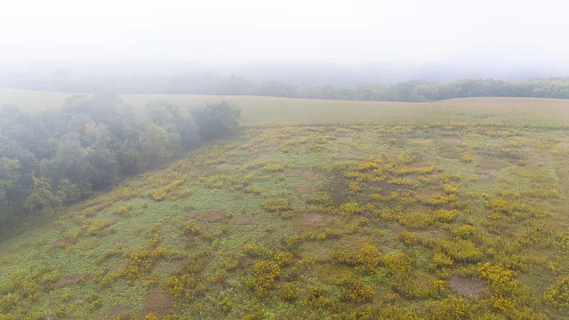 $140,000 | 2 Goat Back Road, Pepin, WI 54759