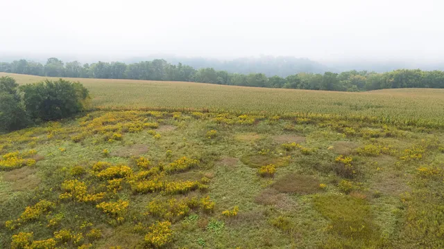 $140,000 | 2 Goat Back Road, Pepin, WI 54759