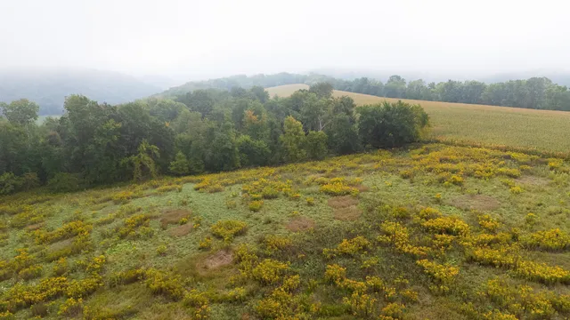 $140,000 | 2 Goat Back Road, Pepin, WI 54759