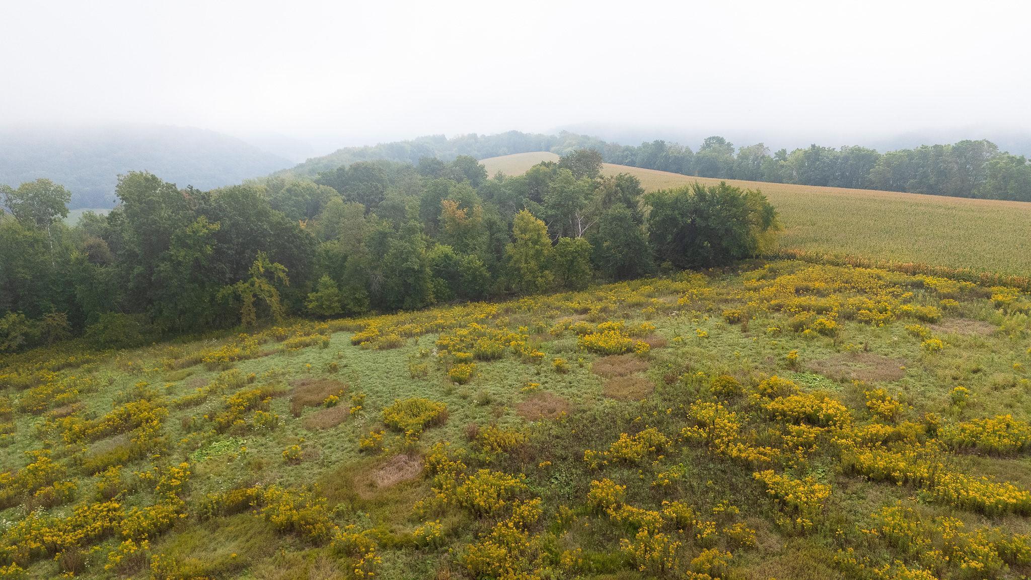 2 Goat Back Road Pepin, WI 54759 - Photo 7 of 23