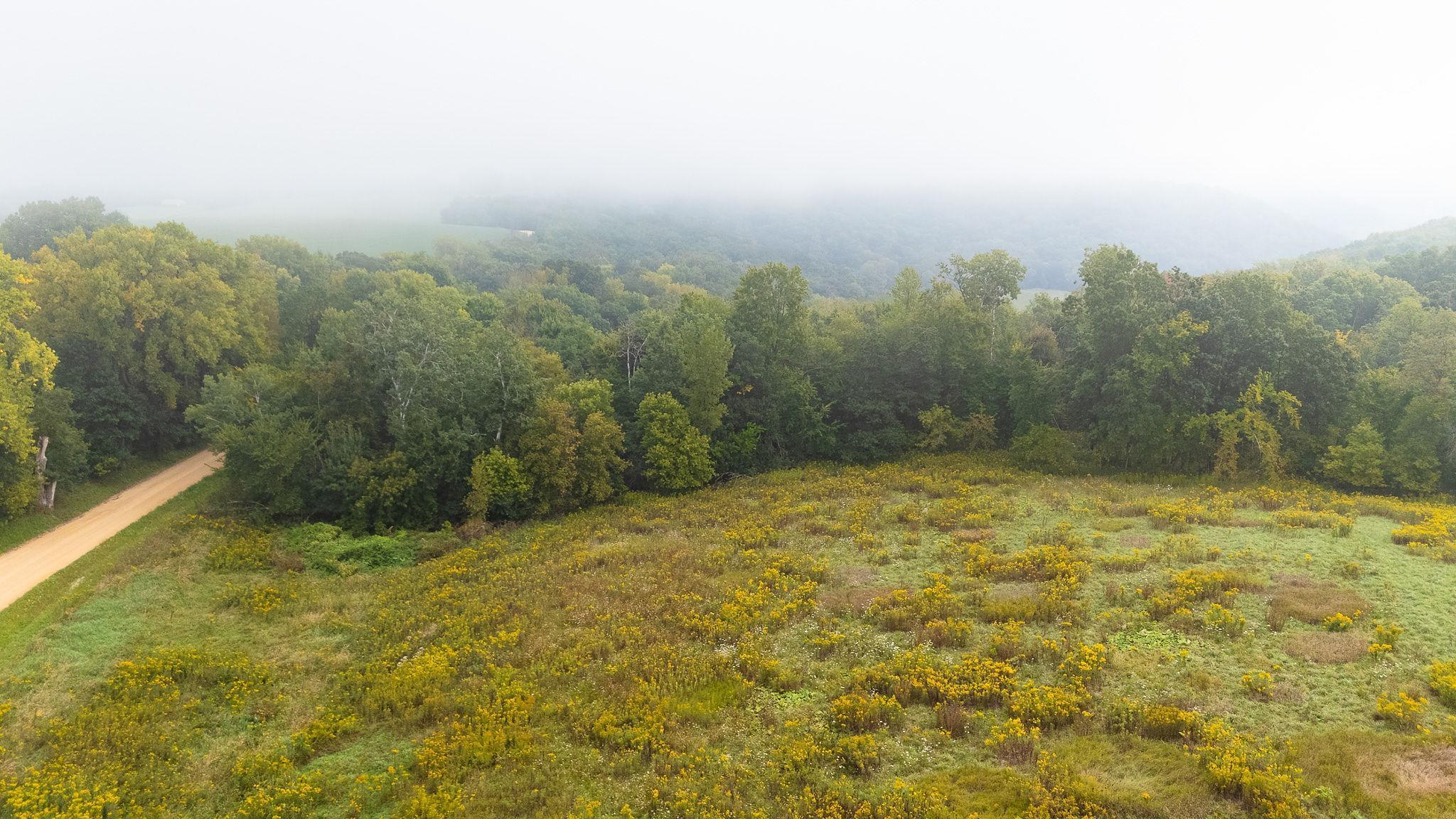 2 Goat Back Road Pepin, WI 54759 - Photo 8 of 23