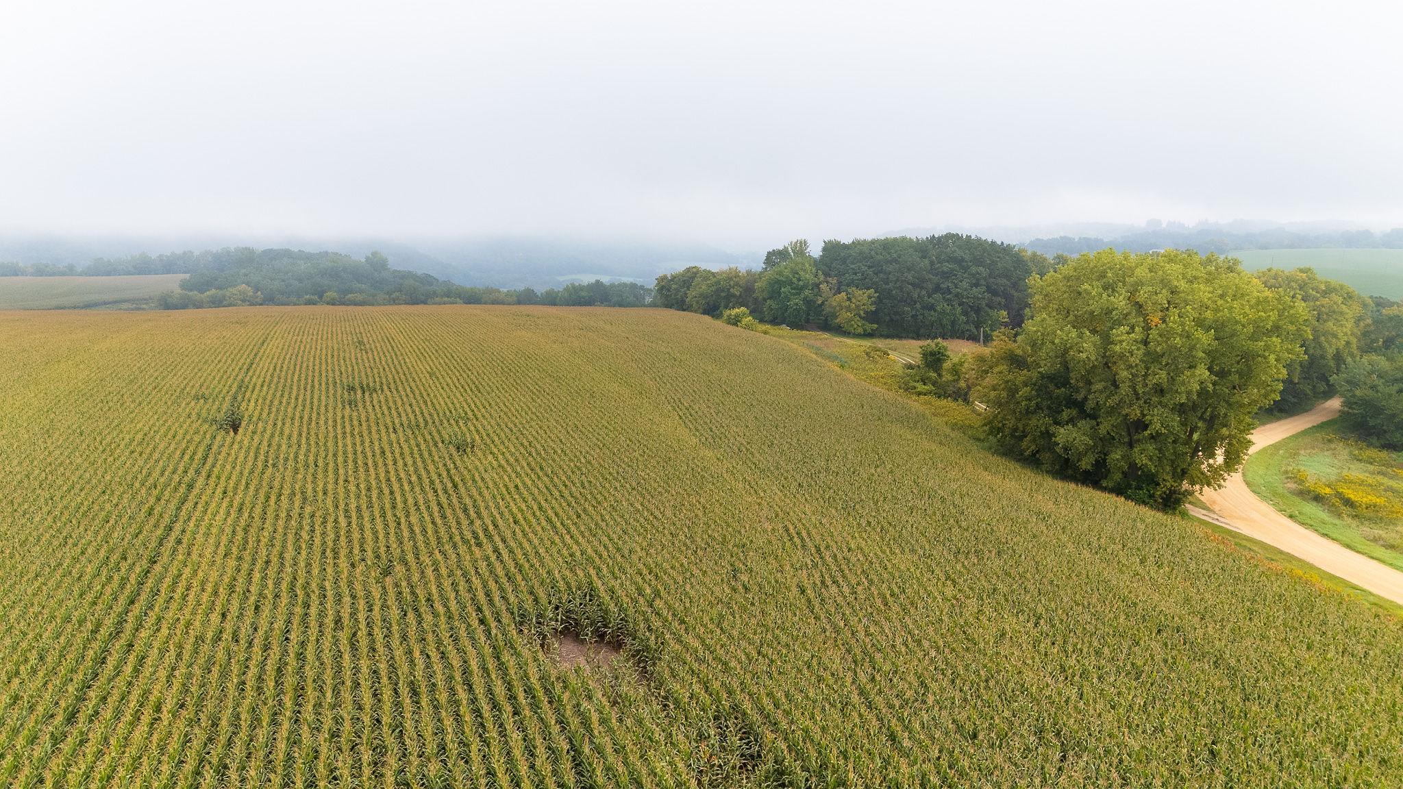 2 Goat Back Road Pepin, WI 54759 - Photo 10 of 23