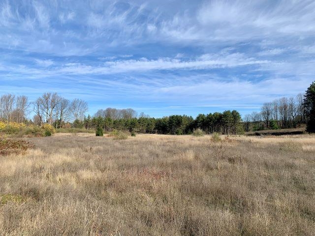 Tbd Lone Tree Road Traverse City, MI 49685 - Photo 20 of 22