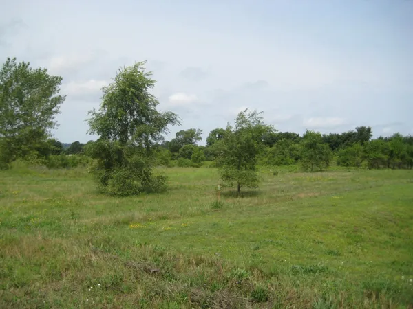 $250,000 | 1800 South 11th Street, Prairie du Chien, WI 53821
