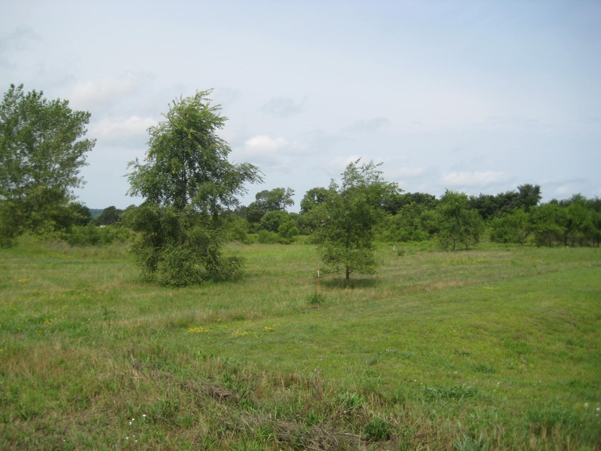 1800 South 11th Street Prairie du Chien, WI 53821 - Photo 5 of 10