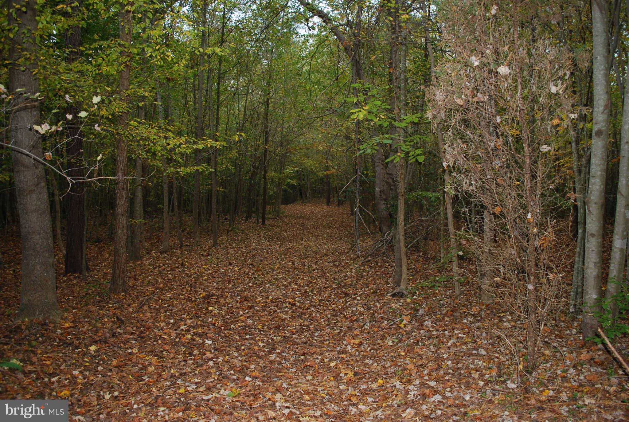 Locust Point King George, VA 22485 - Photo 4 of 4 View