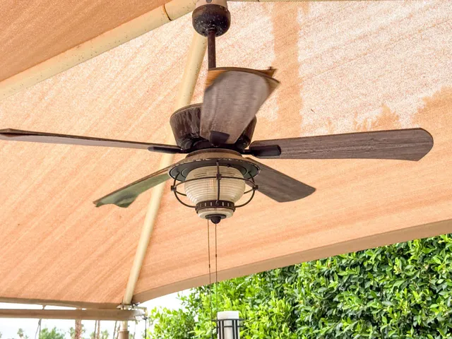 a vase of flowers sitting on a table