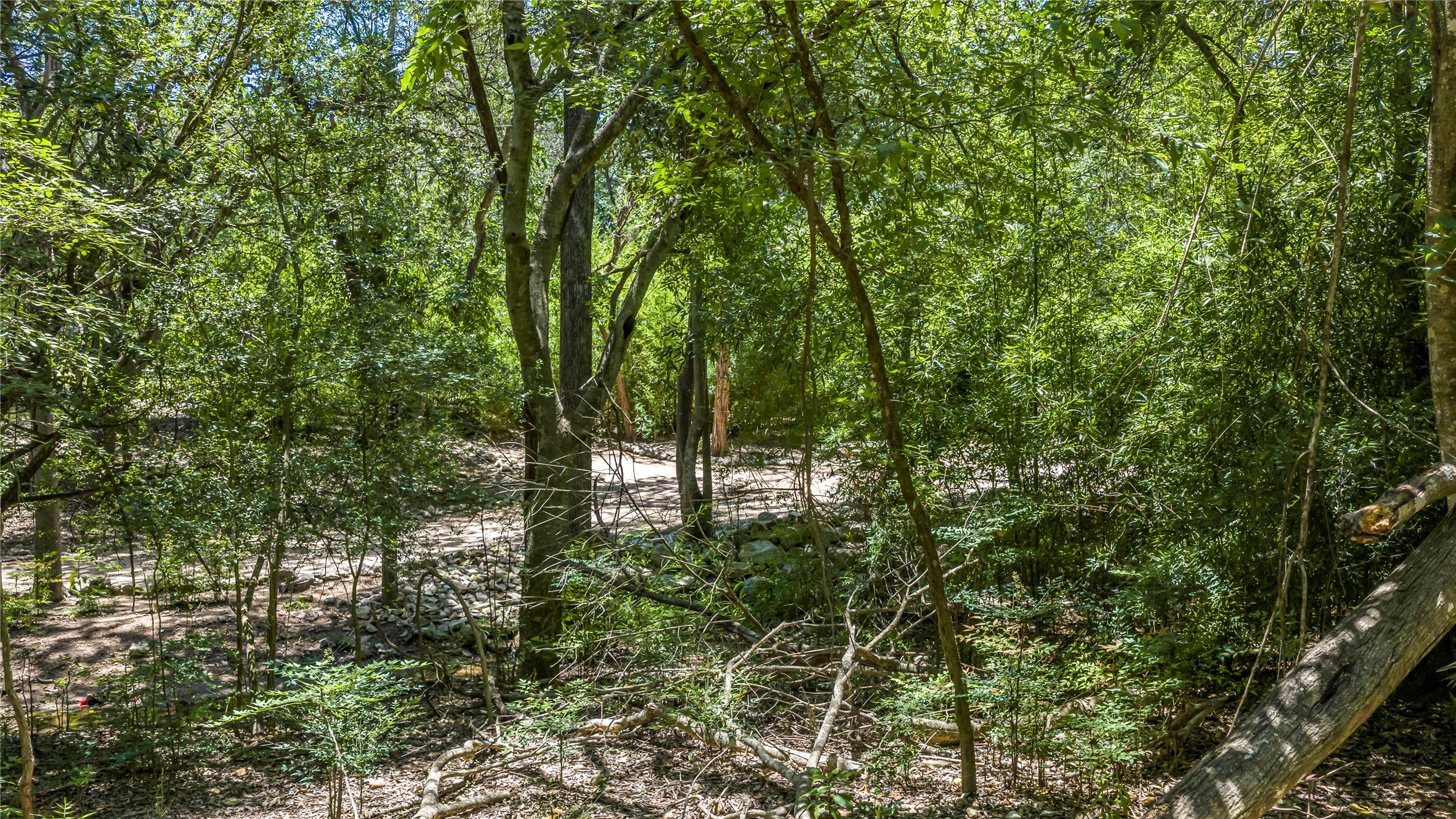 2316 River Hills Road Austin, TX 78733 - Photo 7 of 30 Gallery Image 7