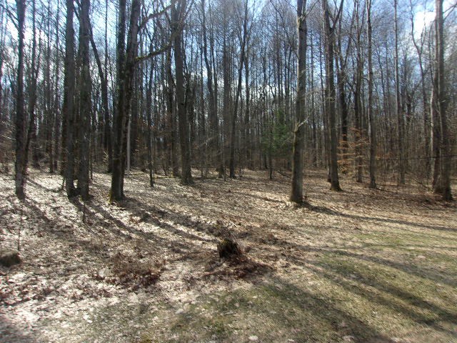 5615 Tidioute Creek Road Pittsfield, PA 16340 - Photo 29 of 29
