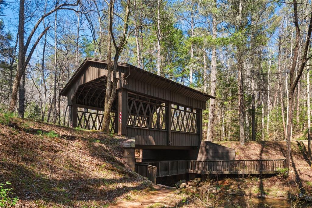 261 Falcon Heights Lane Big Canoe, GA 30143 - Photo 49 of 51