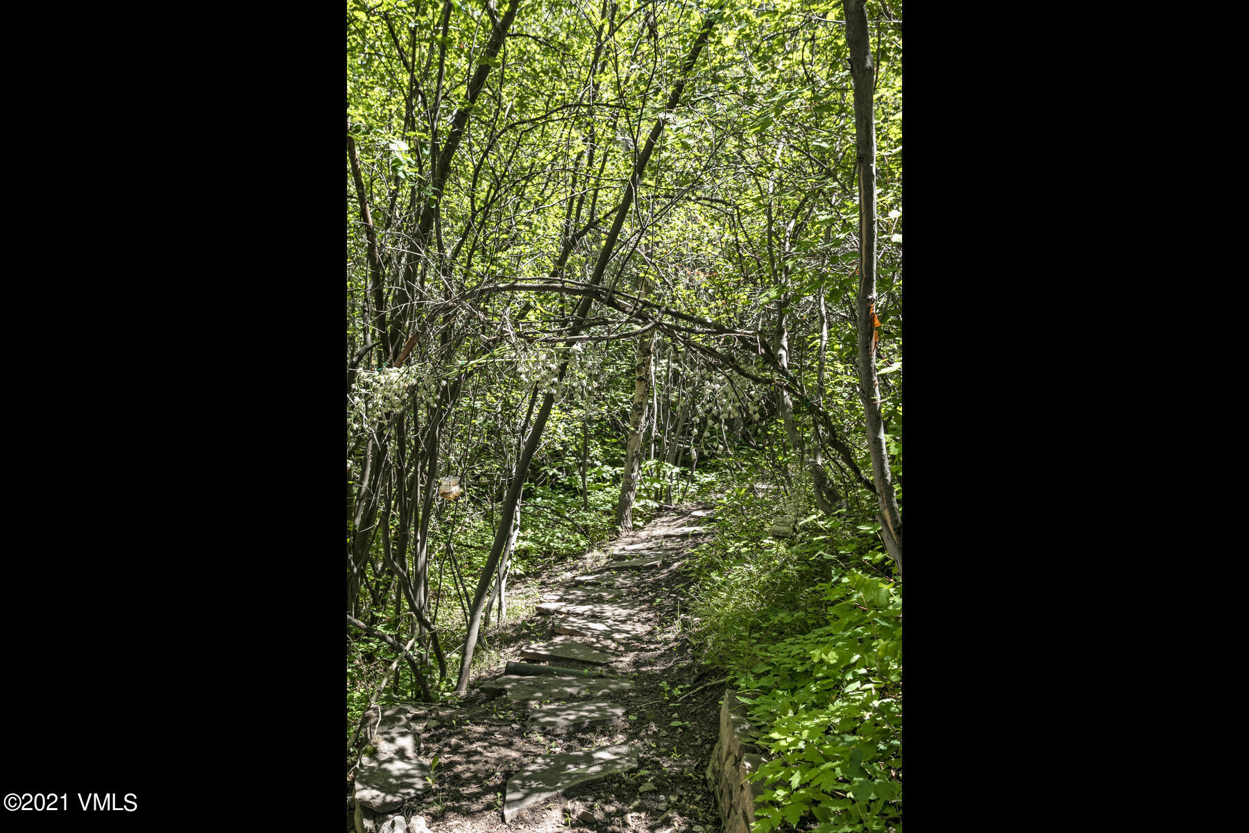 850 Eagle Drive Eagle-Vail, CO 81620 - Photo 34 of 44 a view of a garden