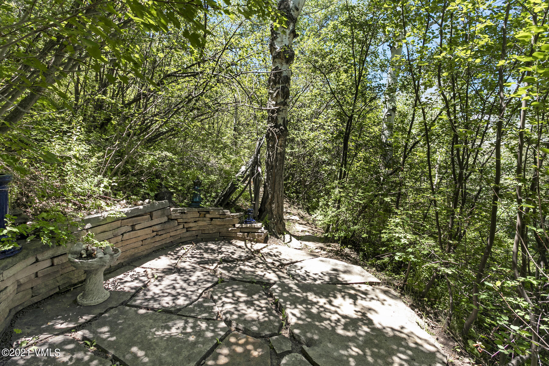 850 Eagle Drive Eagle-Vail, CO 81620 - Photo 35 of 44 a view of tree