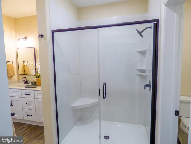 a bathroom with a shower a mirror and a sink