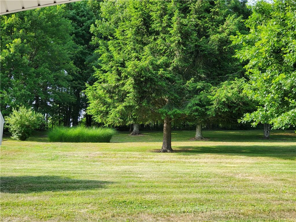1760 Parkwood Road Indiana, PA 15701 - Photo 22 of 25 a view of a swimming pool with a large trees