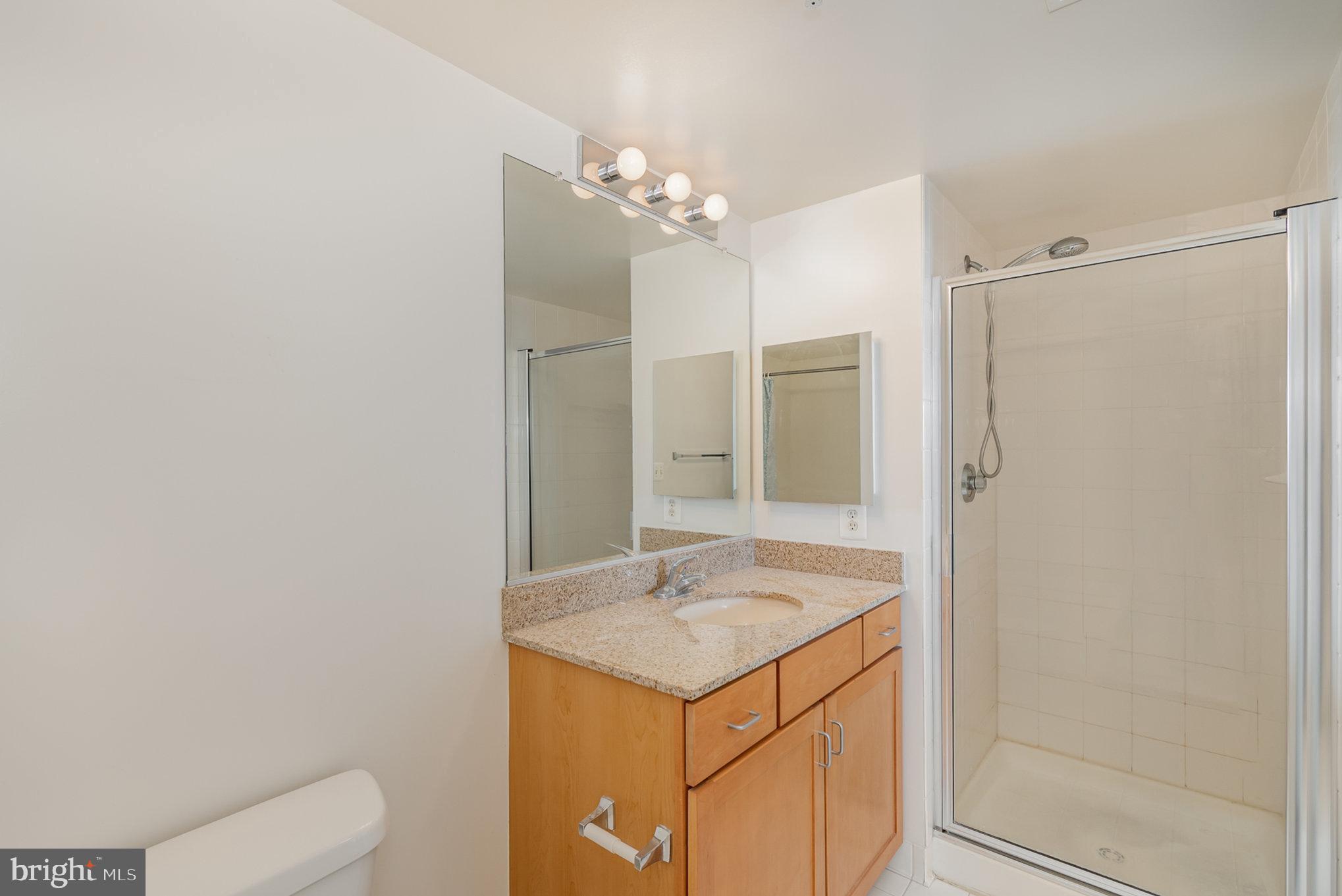 414 Water Street, Unit 1512 Baltimore, MD 21202 - Photo 20 of 28 a bathroom with a sink toilet and shower