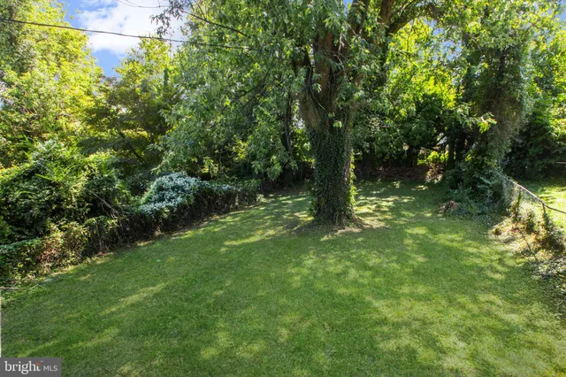 a big yard with lots of green space and plants