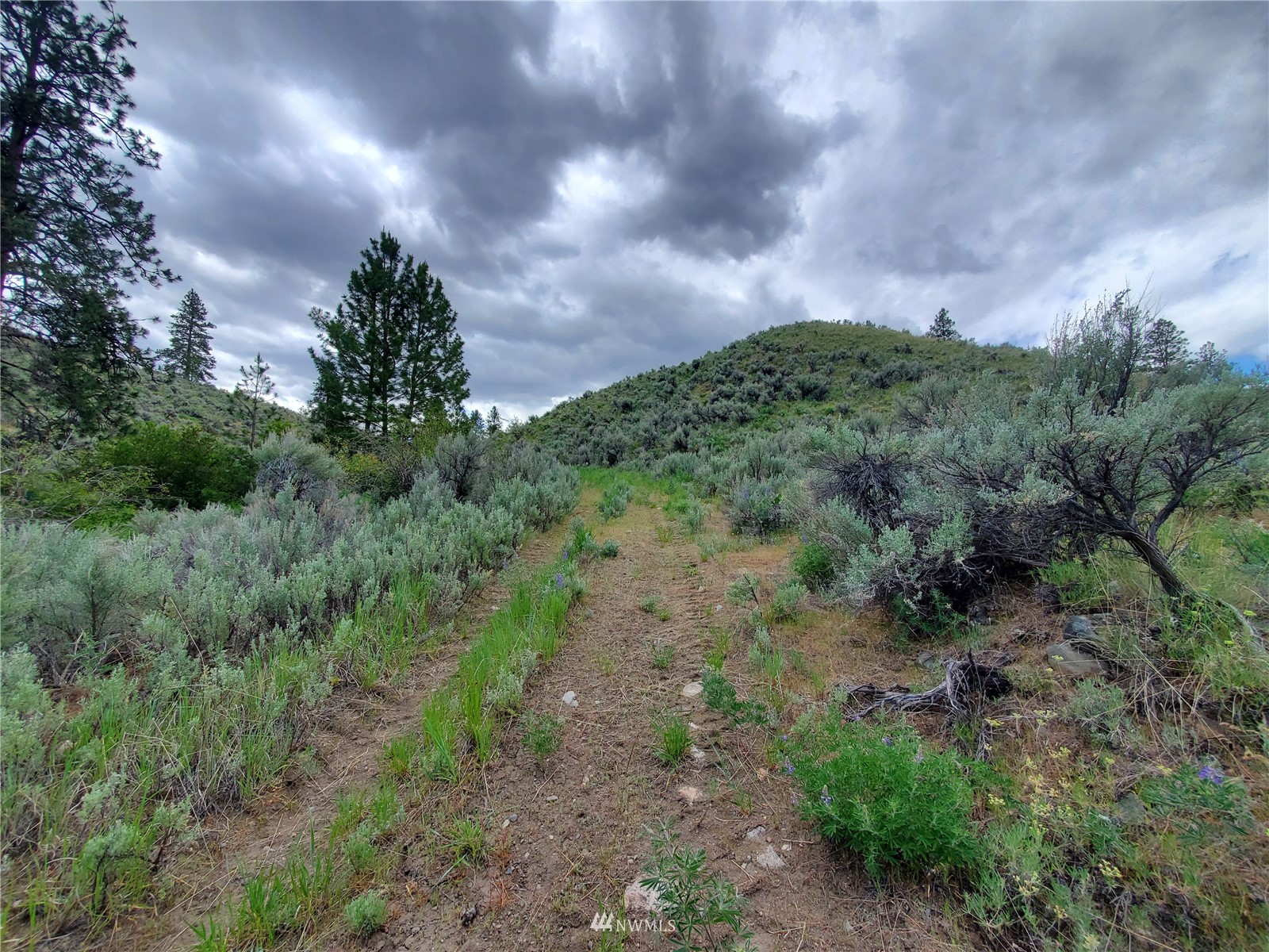 570 X Tunk Creek Road Riverside, WA 98849 - Photo 10 of 30 Gallery Image 10