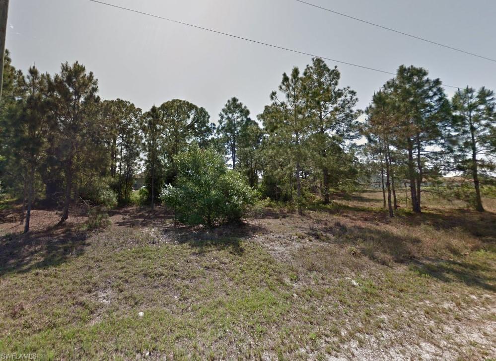 2119-2121 Armour Road Lehigh Acres, FL 33973 - Photo 2 of 5 a view of a forest filled with trees
