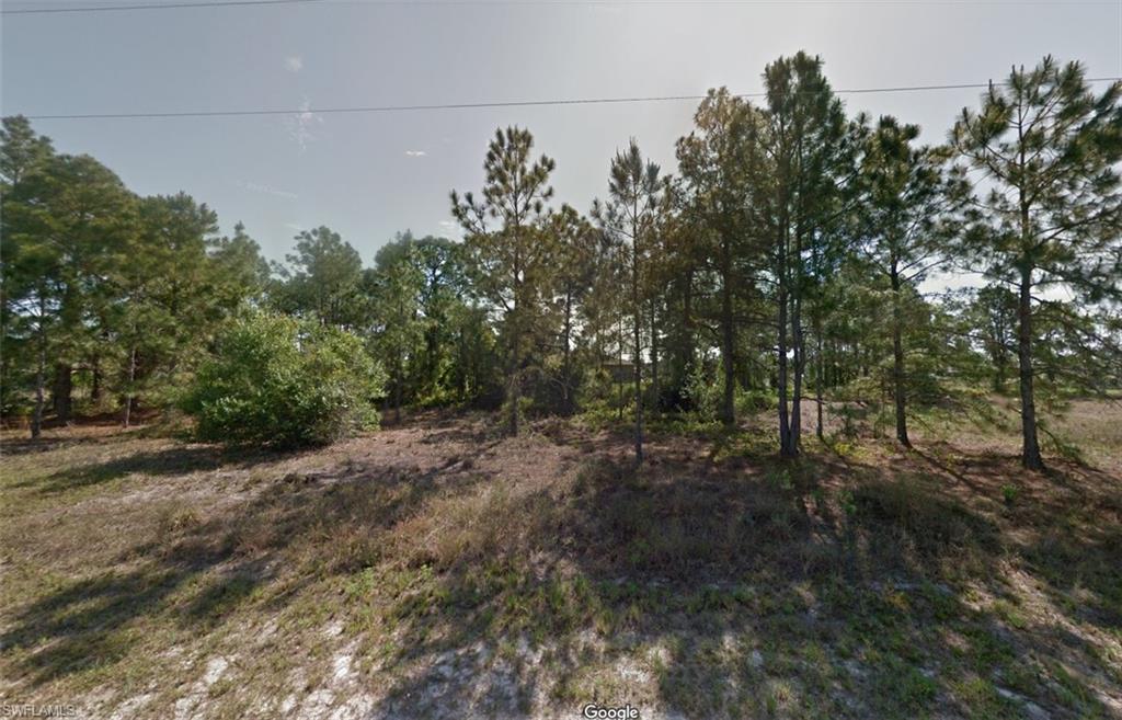2119-2121 Armour Road Lehigh Acres, FL 33973 - Photo 3 of 5 a view of a forest with trees in the background