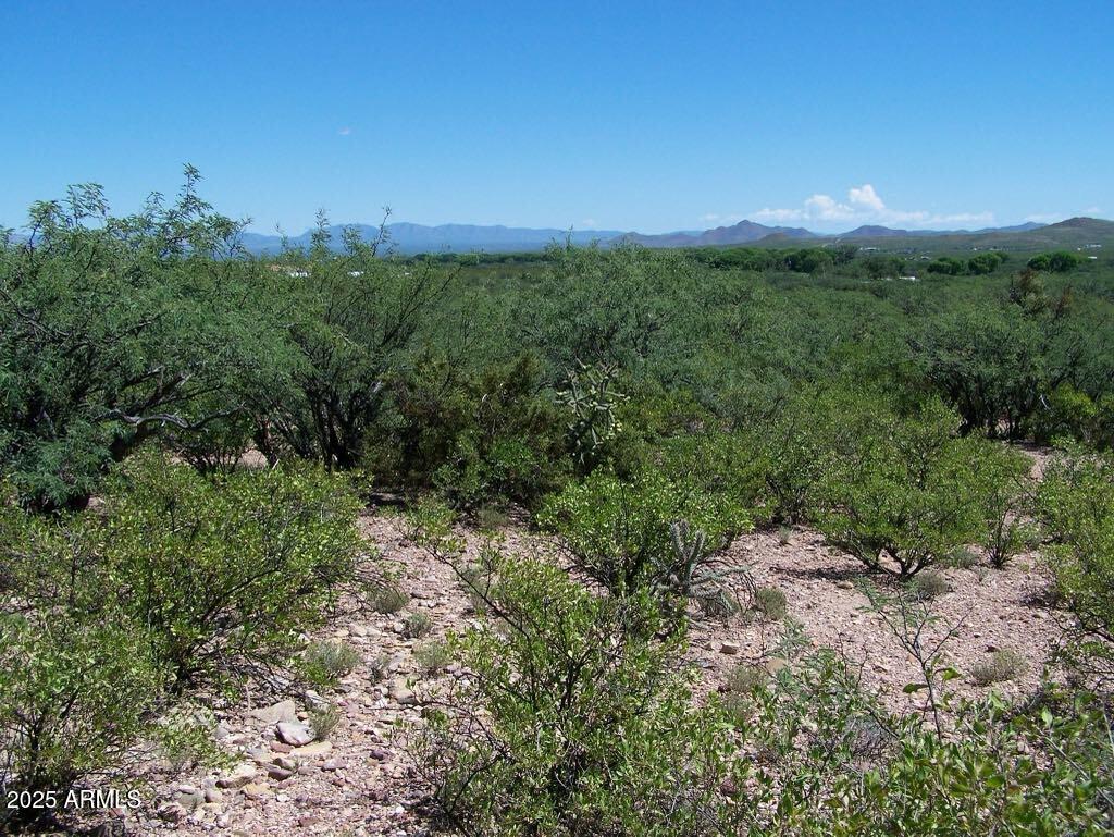 Tbd East Lincoln Road Huachuca City, AZ 85616 - Photo 13 of 17 a view of a city and green field