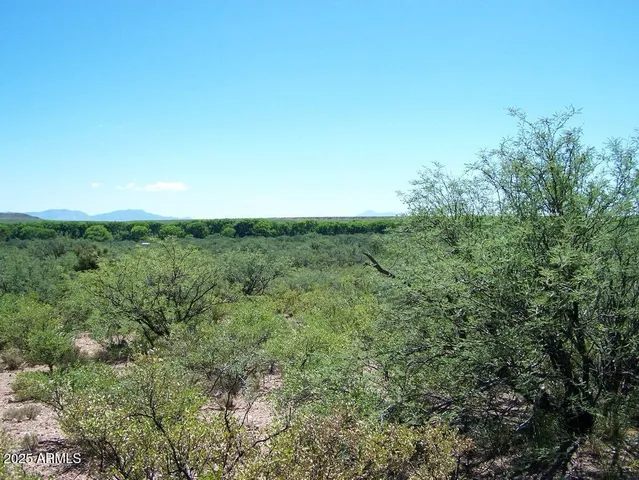 a view of a field of grass and trees