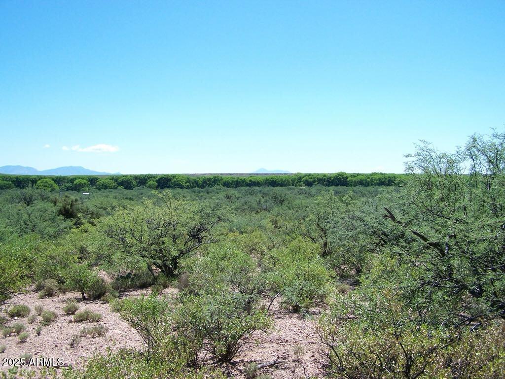 Tbd East Lincoln Road Huachuca City, AZ 85616 - Photo 6 of 17 a view of a field of grass and trees
