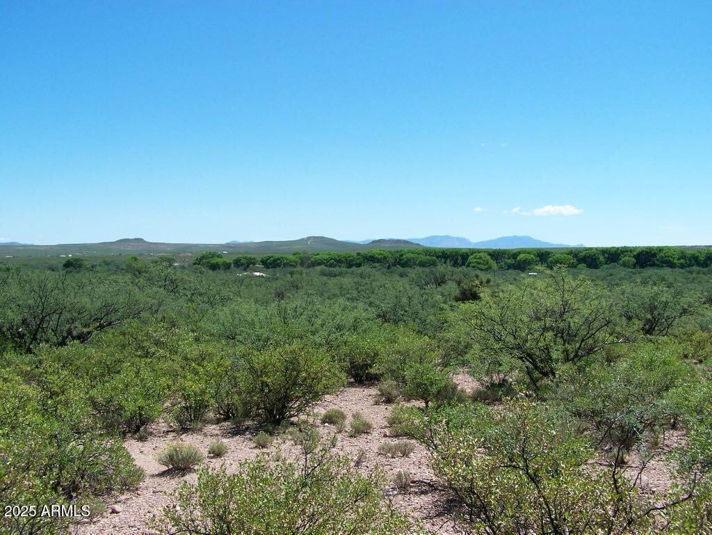 Tbd East Lincoln Road Huachuca City, AZ 85616 - Photo 9 of 17 a view of a green field