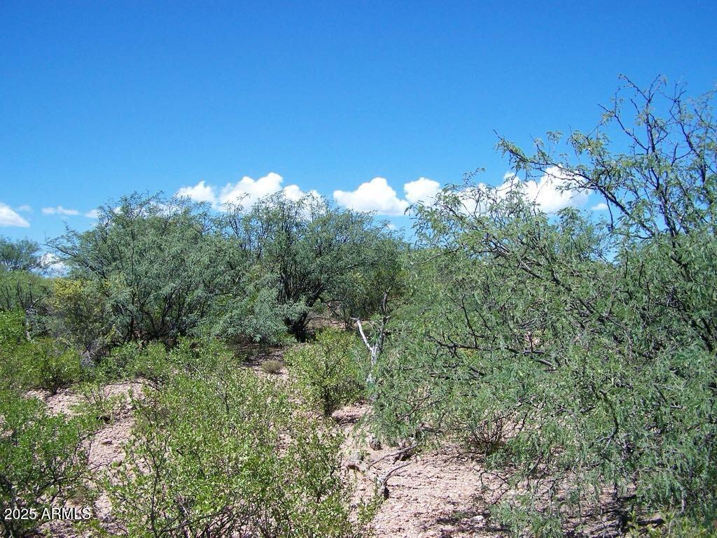 Tbd East Lincoln Road Huachuca City, AZ 85616 - Photo 10 of 17 a view of a big yard