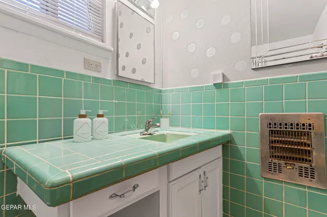 a bathroom with a sink and a shower