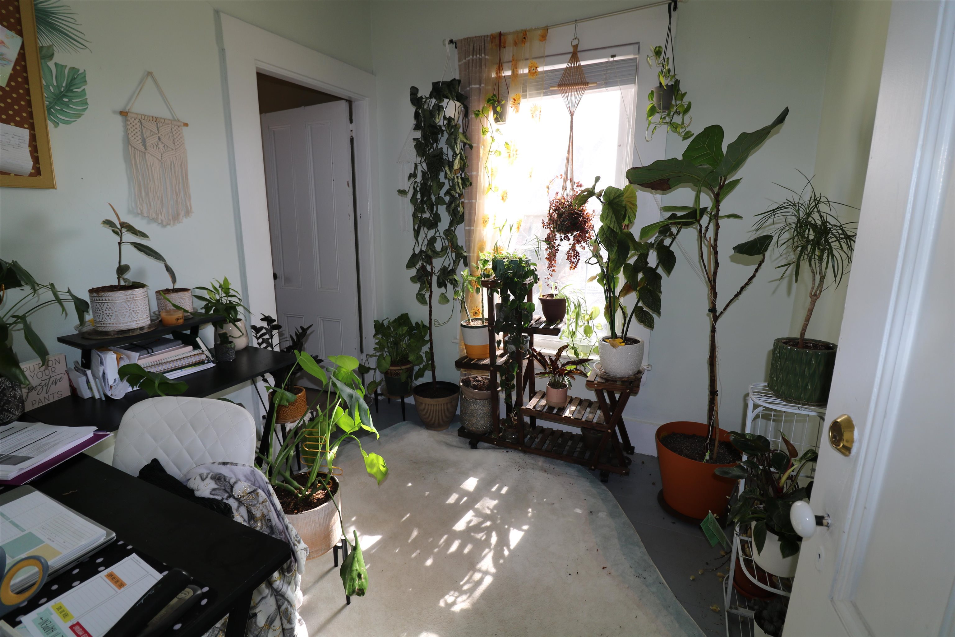 17 Turnpike Road Jaffrey, NH 03452 - Photo 25 of 37