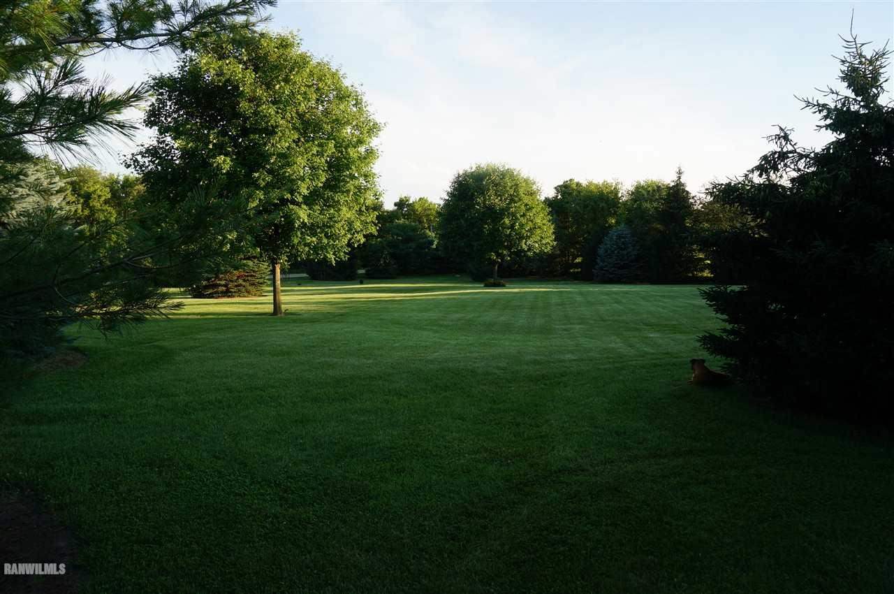 2560 East Maize Road Freeport, IL 61032 - Photo 8 of 25 a view of field with tall trees