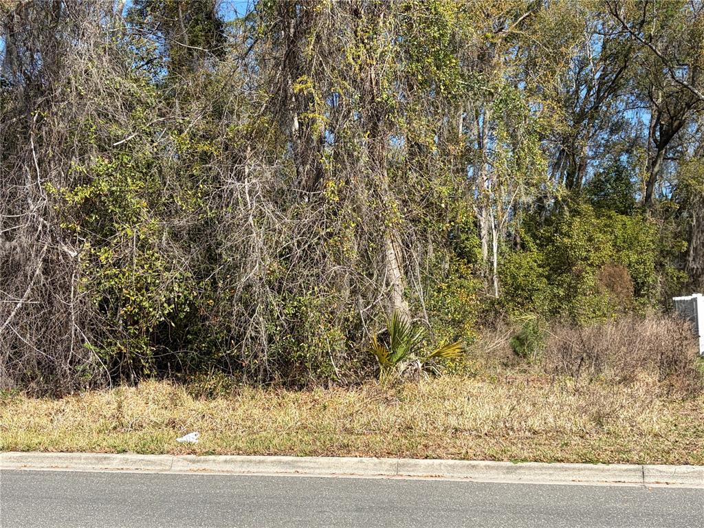 1908 Northeast 7th Avenue Gainesville, FL 32641 - Photo 1 of 6